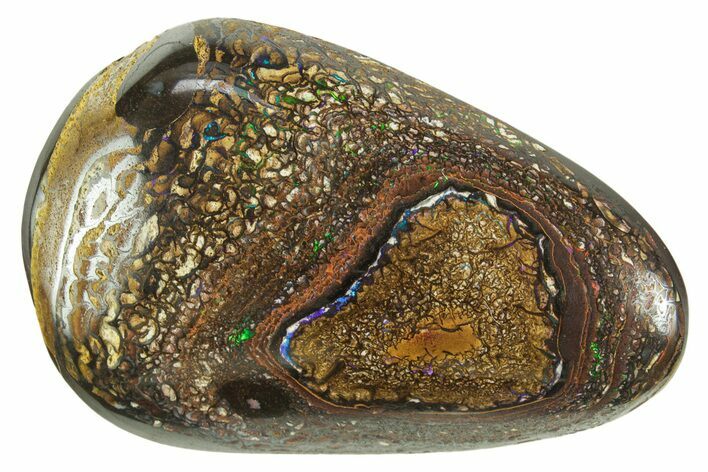 Colorful Polished Boulder Opal Specimen - Queensland, Australia #381751